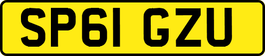 SP61GZU