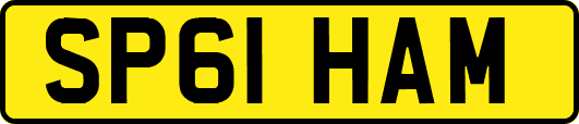 SP61HAM