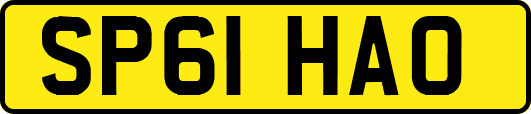 SP61HAO