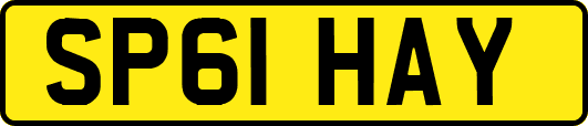 SP61HAY
