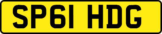 SP61HDG