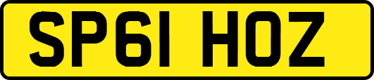 SP61HOZ