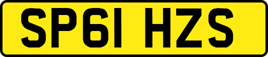 SP61HZS