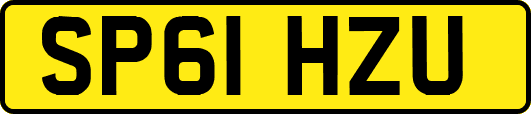 SP61HZU