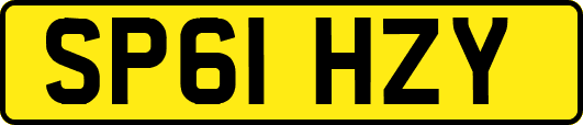 SP61HZY