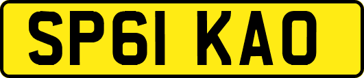 SP61KAO