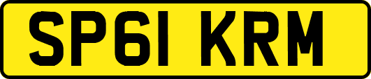 SP61KRM