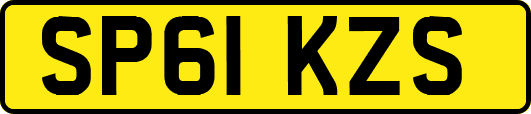 SP61KZS