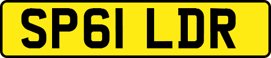 SP61LDR