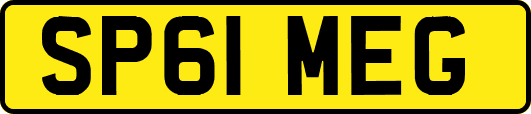 SP61MEG