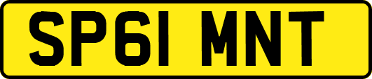 SP61MNT