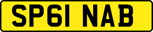 SP61NAB