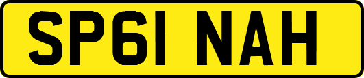 SP61NAH