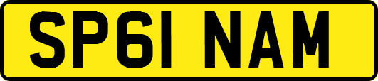 SP61NAM