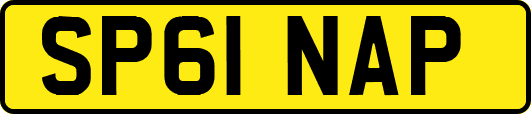SP61NAP