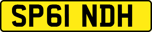SP61NDH