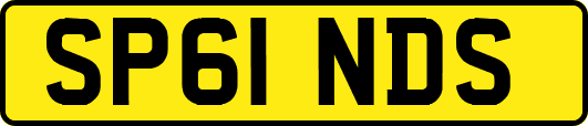 SP61NDS