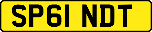 SP61NDT