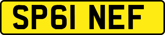 SP61NEF