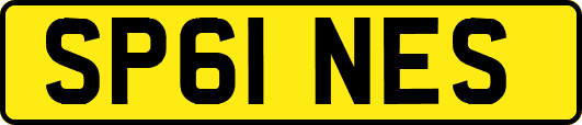 SP61NES