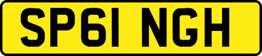 SP61NGH
