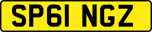 SP61NGZ