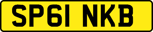SP61NKB