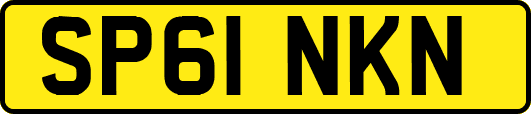 SP61NKN
