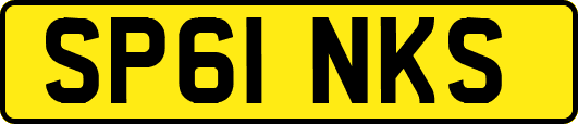 SP61NKS