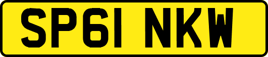 SP61NKW