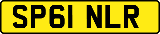 SP61NLR