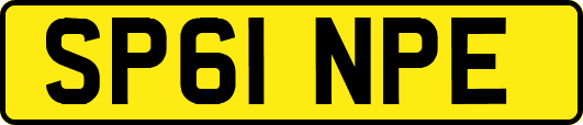 SP61NPE