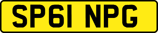 SP61NPG