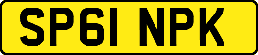 SP61NPK