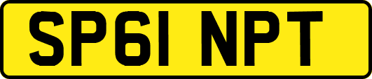 SP61NPT