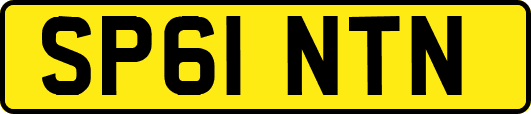 SP61NTN