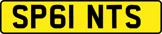 SP61NTS