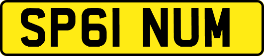 SP61NUM