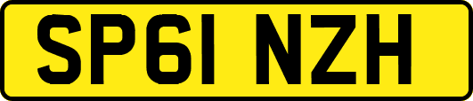 SP61NZH