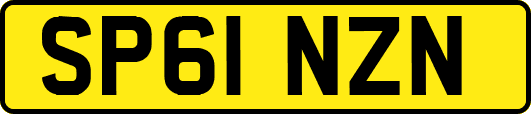 SP61NZN
