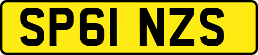 SP61NZS