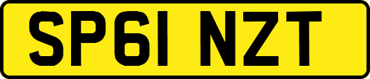 SP61NZT