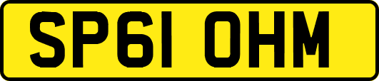 SP61OHM