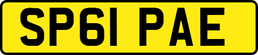 SP61PAE