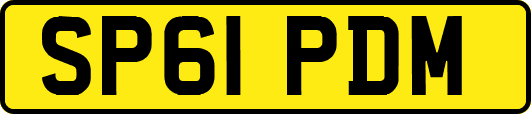 SP61PDM