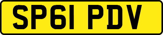 SP61PDV