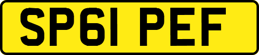 SP61PEF