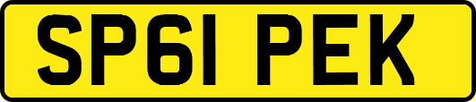 SP61PEK