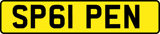 SP61PEN