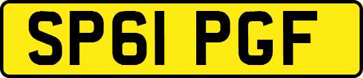 SP61PGF